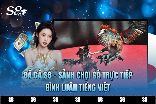 Đá Gà S8 - Sảnh Chọi Gà Trực Tiếp, Bình Luận Tiếng Việt