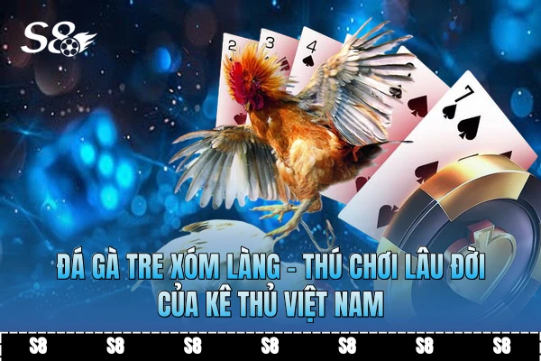 Đá Gà Tre Xóm Làng - Thú Chơi Lâu Đời Của Kê Thủ Việt Nam