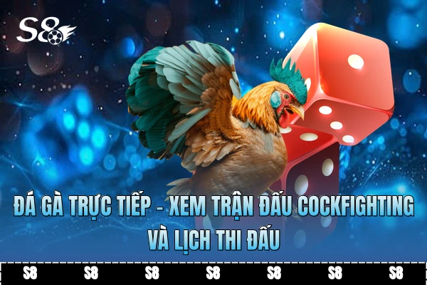 Đá Gà Trực Tiếp - Xem Trận Đấu Cockfighting Và Lịch Thi Đấu
