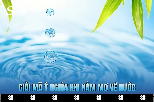 Giải mã ý nghĩa khi nằm mơ về nước