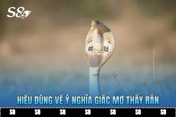 Hiểu đúng về ý nghĩa giấc mơ thấy rắn