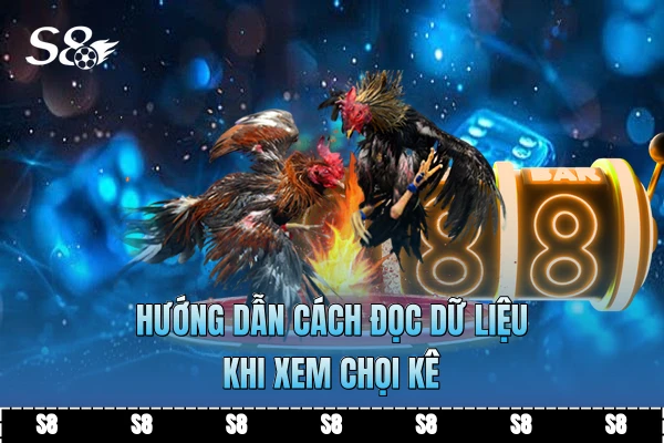 Hướng dẫn cách đọc dữ liệu khi xem chọi kê
