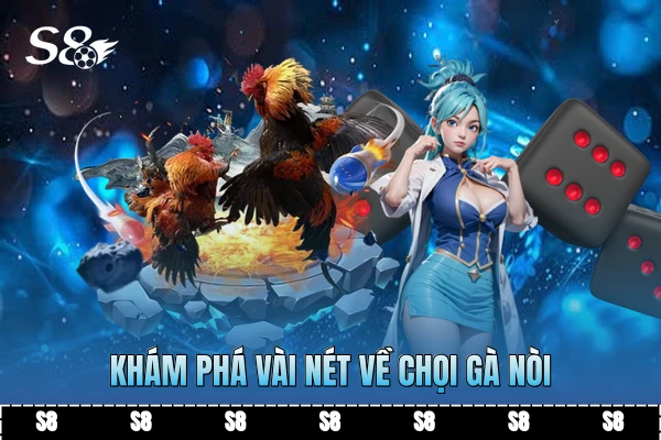Khám phá vài nét về chọi gà nòi