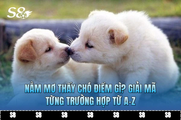 Nằm Mơ Thấy Chó Điềm Gì? Giải Mã Từng Trường Hợp Từ A-Z