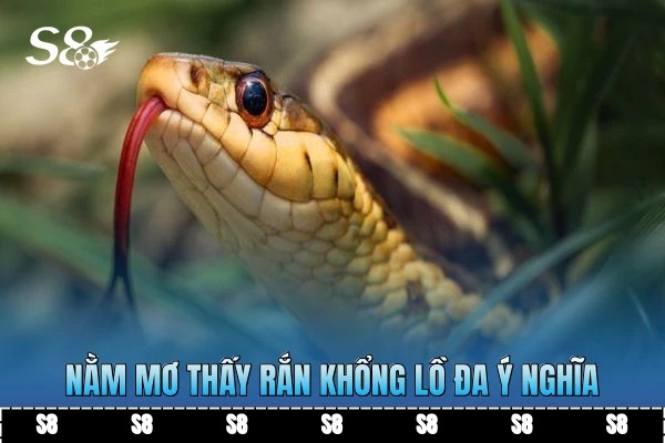 Nằm mơ thấy rắn khổng lồ đa ý nghĩa