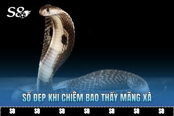 Số đẹp khi chiêm bao thấy mãng xà