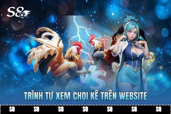 Trình tự xem chọi kê trên website